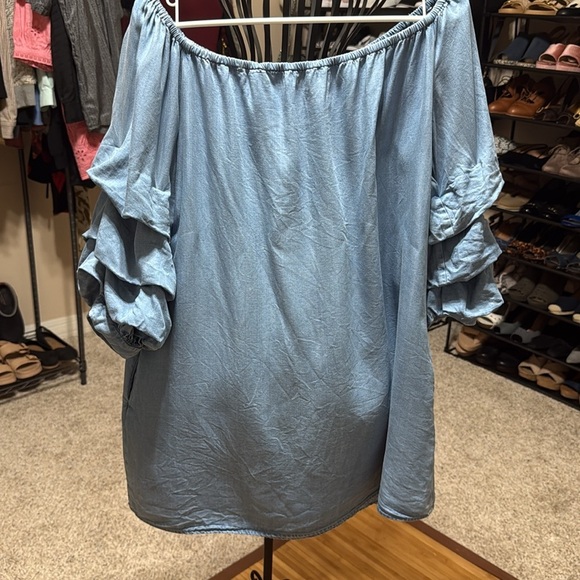 Zara Lightweight Denim On/Off-Shoulder Ruffle Sleeve Shift Dress - Picture 5 of 5